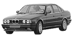 BMW E34 P1CC1 Fault Code