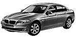 BMW F10 P1CC1 Fault Code